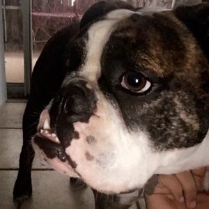 Meet your Posher, Mikayla